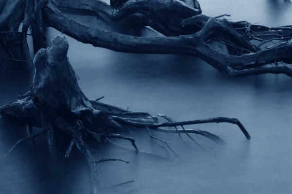 Creation of Swamp Hibernation: Step 1